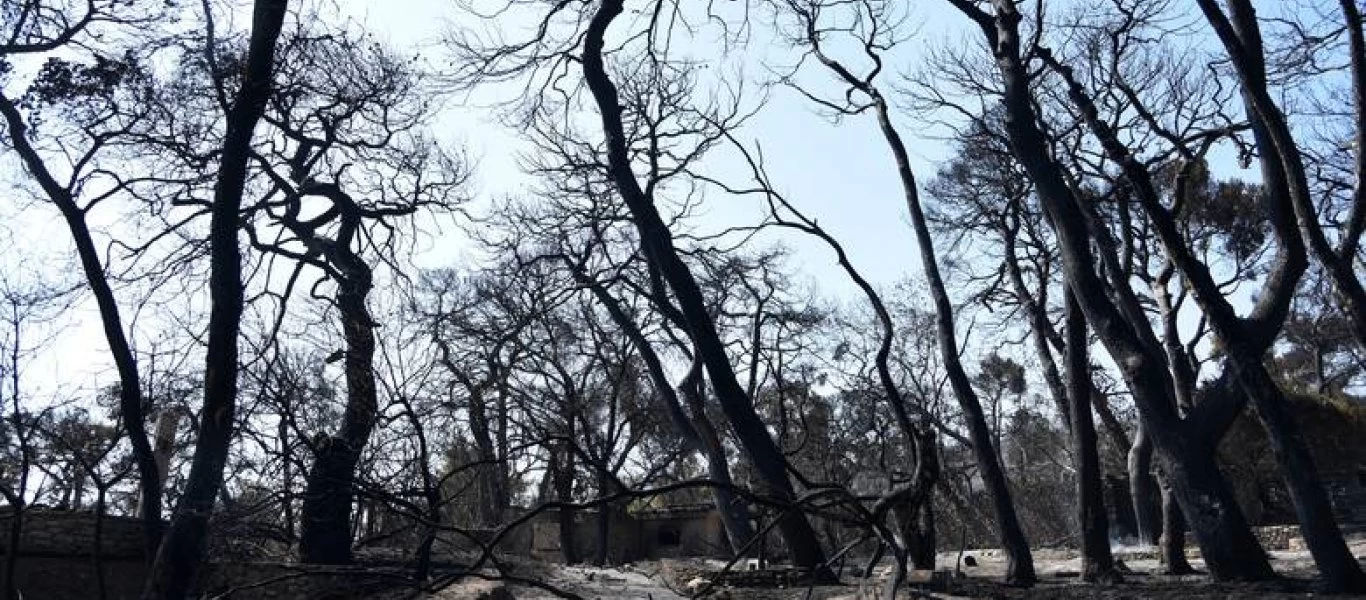 Τραγικός ο απολογισμός μέχρι στιγμής: Πάνω από 270.000 καμένα στρέμματα σε Αττική και Εύβοια
